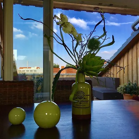 June Six מלון 4*